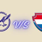 namibia national cricket team vs netherlands national cricket team timeline